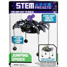 STEM Projects Jumping Spider